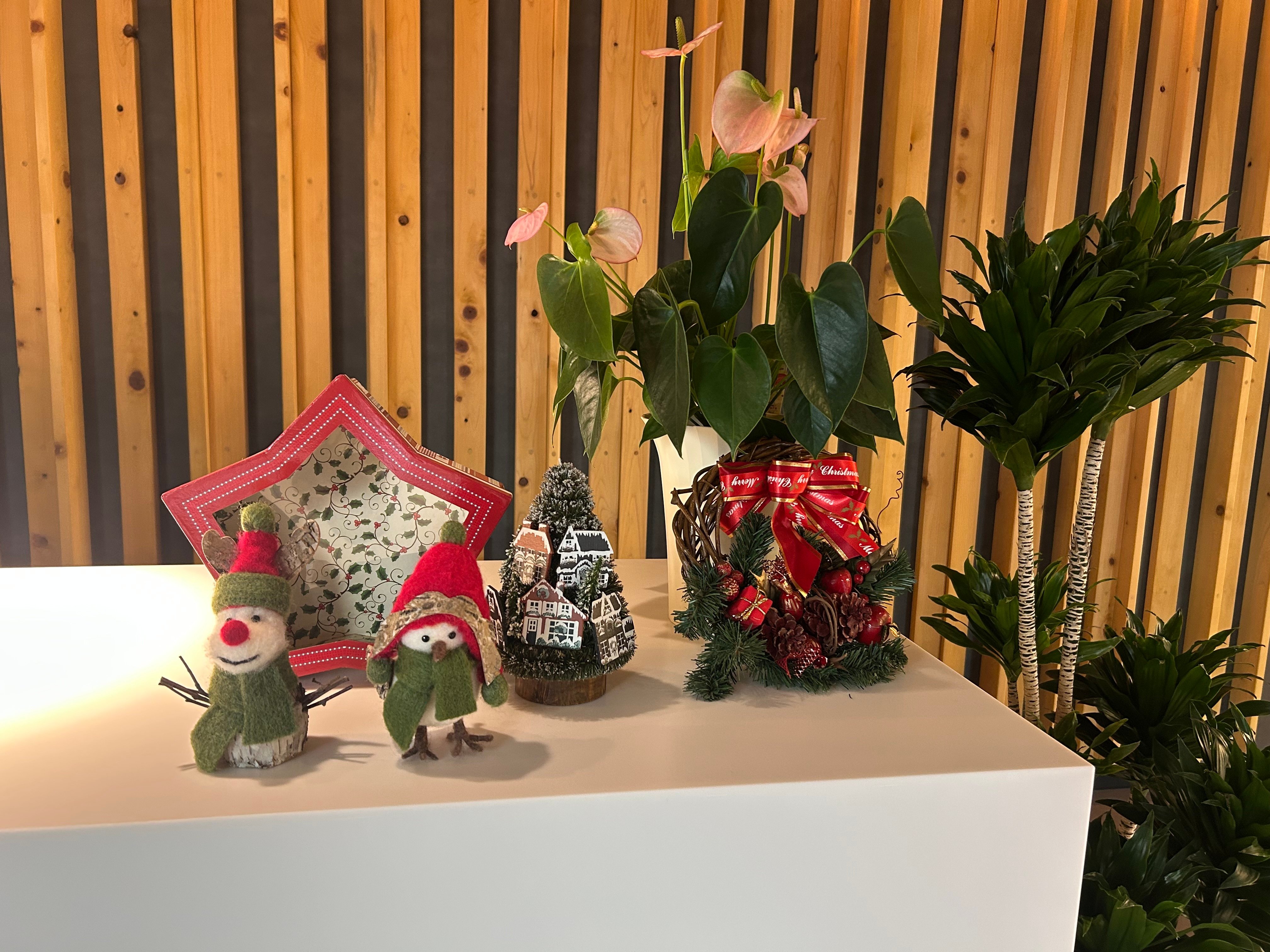 image1-Dec-05-2025-01-48-11-5209-AM